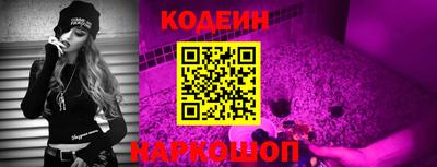 амф Сланцы