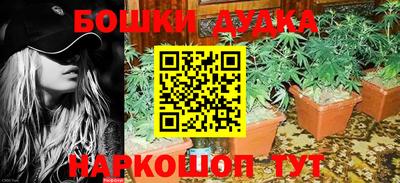 амф Сланцы